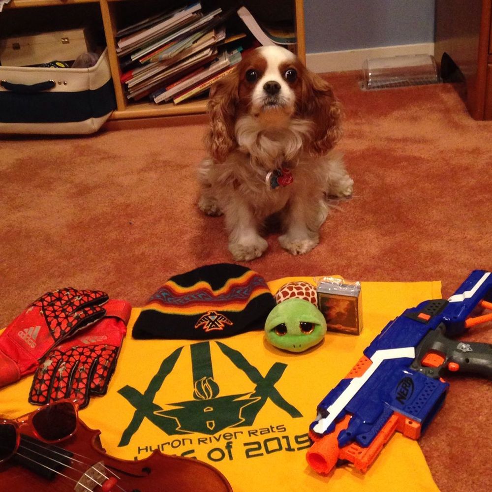 Meet your Posher, Alex